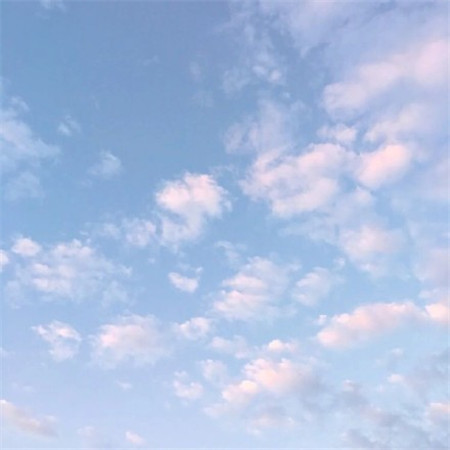 微信唯美个性简约小清新朋友圈配图