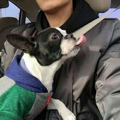 微信最火个性清新男生头像