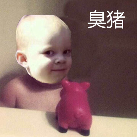 近期斗图表情包精选11/26（二）