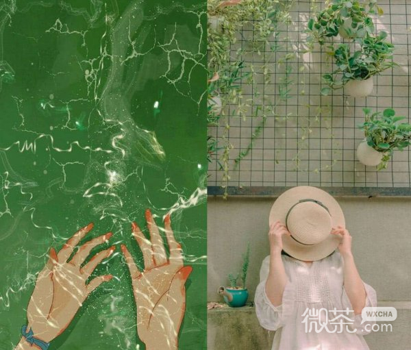 微信唯美绿色系朋友圈配图