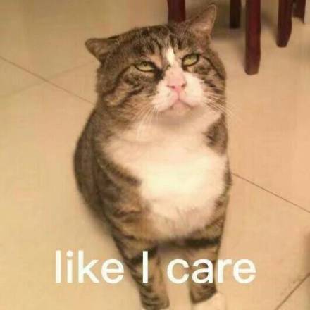 一波英文微信恶搞表情包