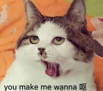 一波英文微信恶搞表情包