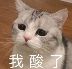 近期斗图表情包精选11/26（二）