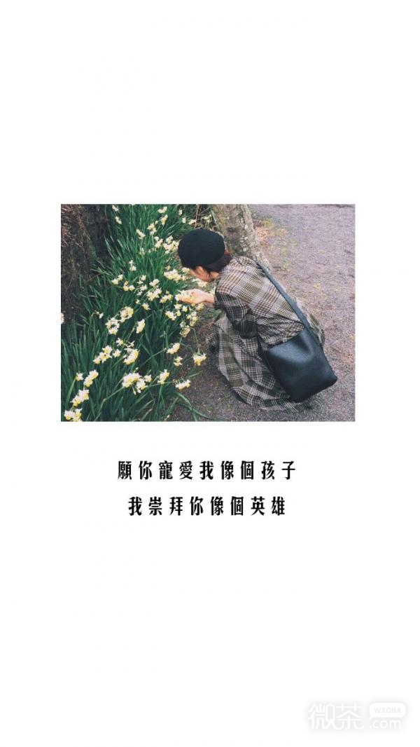 微信森系文艺清新聊天背景