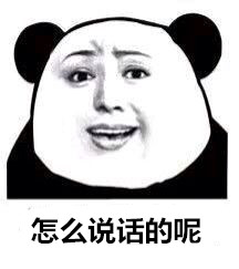 那些说我这里有问题的人微信熊猫头恶搞表情包