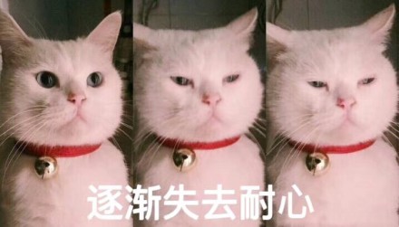 微信喵星人恶搞斗图表情包精选