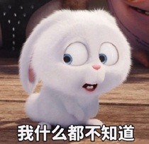 《爱宠大机密》兔子微信表情包