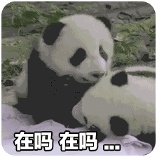 一波大熊猫萌系微信表情包