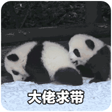 一波大熊猫萌系微信表情包