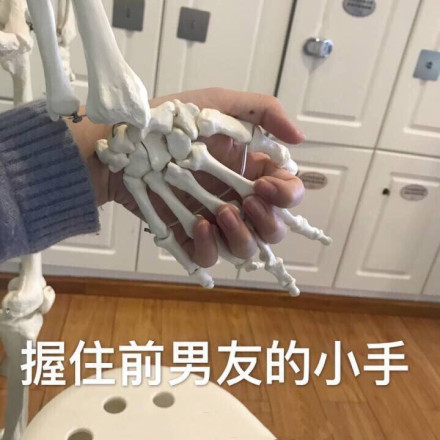 微信近期恶搞斗图表情包精选11/29