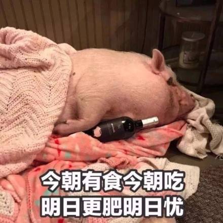 微信近期恶搞斗图表情包精选11/29