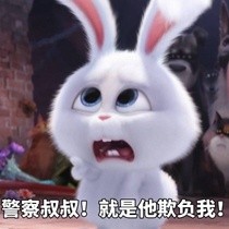 《爱宠大机密》兔子微信表情包