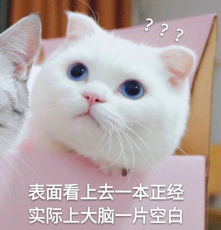 微信喵星人恶搞斗图表情包精选
