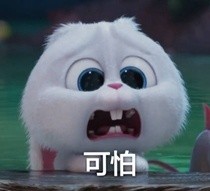 《爱宠大机密》兔子微信表情包