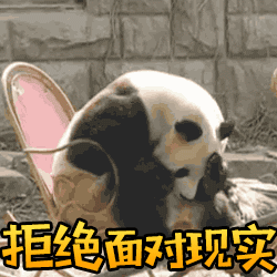 一波大熊猫萌系微信表情包