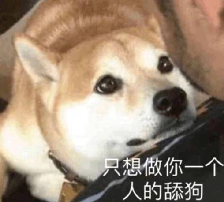 微信近期恶搞斗图表情包精选11/29