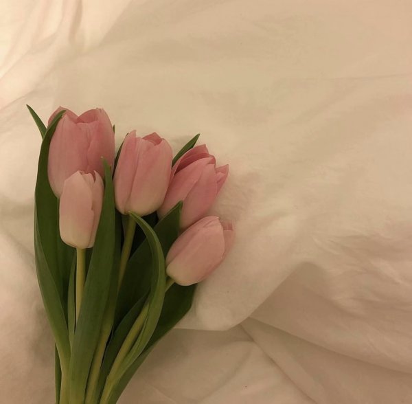 微信个性唯美花朵朋友圈配图