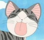 可爱小猪和猫咪系列微信动态表情包合集下载