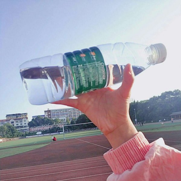 微信唯美个性小清新风景静物头像