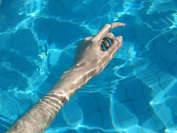 微信唯美个性小清新风景静物头像