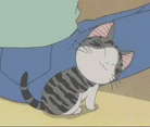 可爱小猪和猫咪系列微信动态表情包合集下载