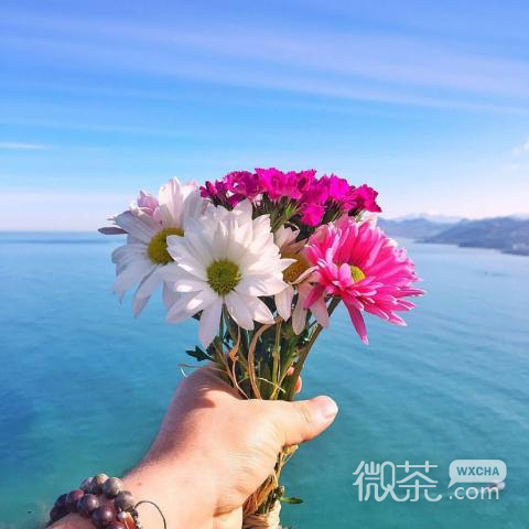微信时尚潮流唯美风景静物头像