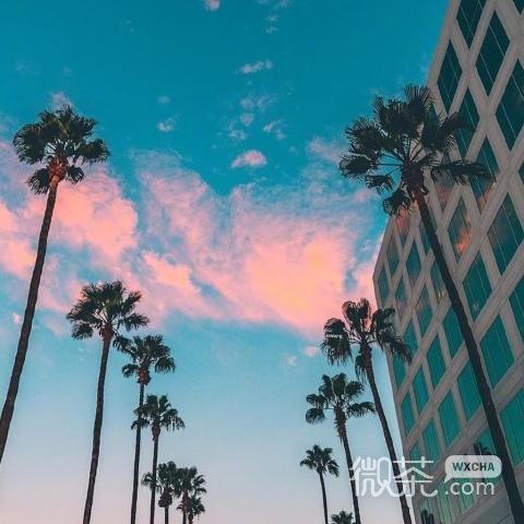 微信时尚潮流唯美风景静物头像
