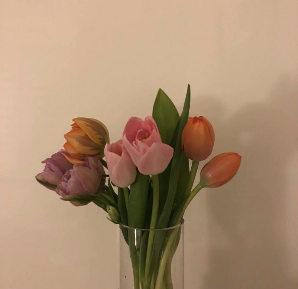 微信个性唯美花朵朋友圈配图