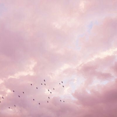 微信唯美个性意境风景静物头像