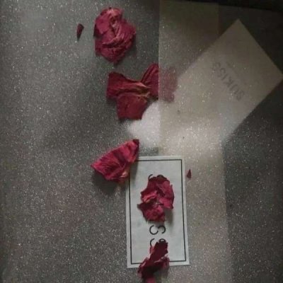 微信唯美个性意境风景静物头像