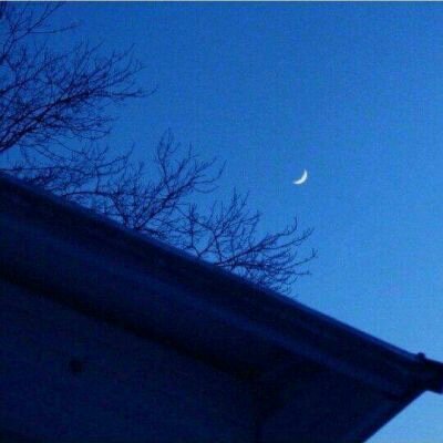 微信粉嫩小清新风景静物女生头像