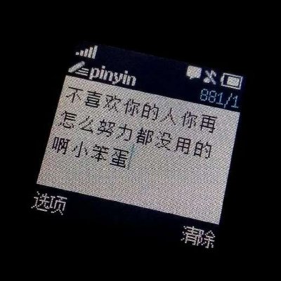 微信最新个性时尚清新静物女生头像
