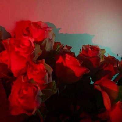 微信唯美个性意境风景静物头像