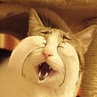 浪漫小清新风格微信唯美情侣头像合集下载