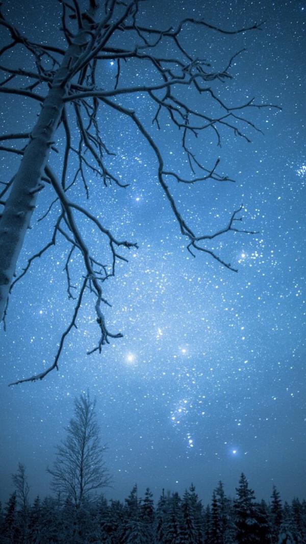 微信最火小清新唯美风景聊天背景