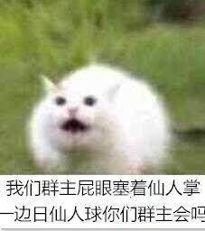 微信恶搞群主表情包