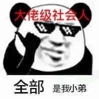 熊猫头版 9种男人自拍 微信恶搞逗比斗图表情包