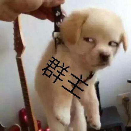 微信恶搞群主表情包