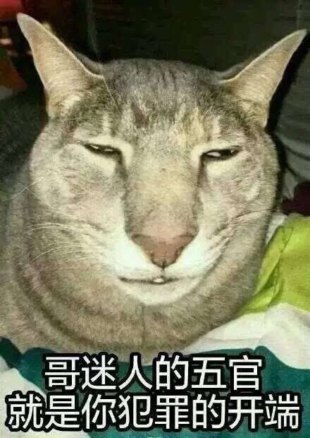 微信近期恶搞斗图表情包