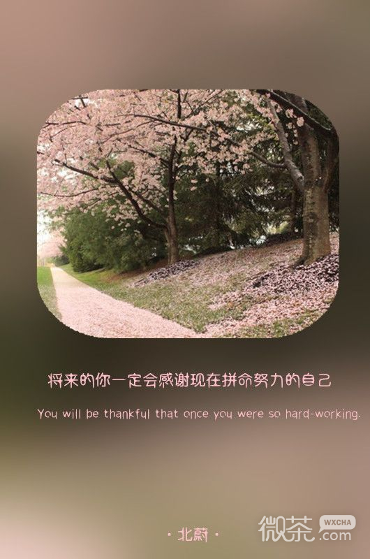 中英文互译的优美微信最新文字图片合集下载