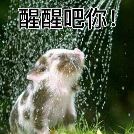 微信近期恶搞斗图表情包