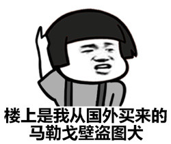 姑娘，把衣服拉好微信恶搞装逼表情包