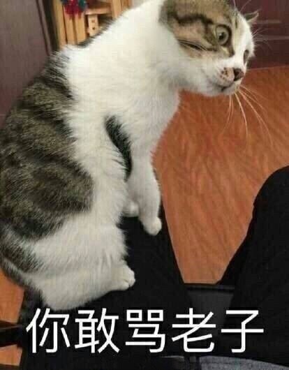 微信近期恶搞斗图表情包