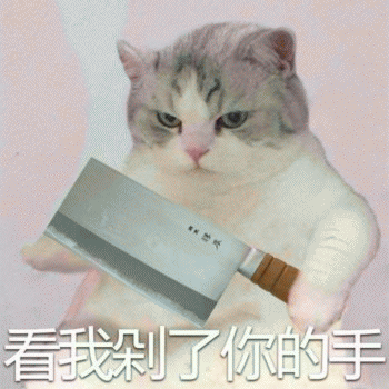 微信日常吸猫斗图表情包