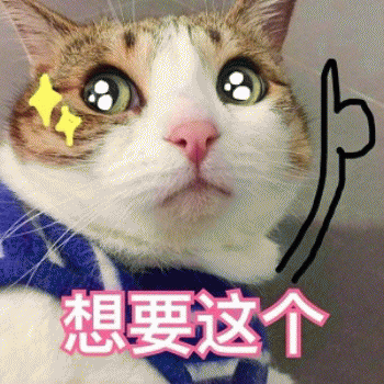 微信日常吸猫斗图表情包