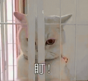 微信日常吸猫斗图表情包