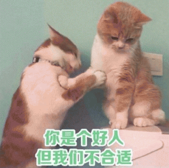 微信日常吸猫斗图表情包