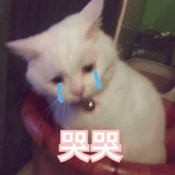 微信日常吸猫斗图表情包
