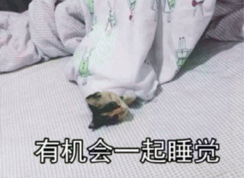 微信日常吸猫斗图表情包