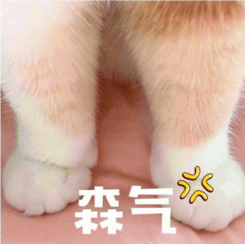 微信日常吸猫斗图表情包